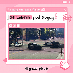 Sogogi3